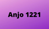 Anjo 1221: mensagens, numerologia, horas invertidas e mais!